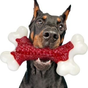 71tFDfkQUCL._AC_SX679_