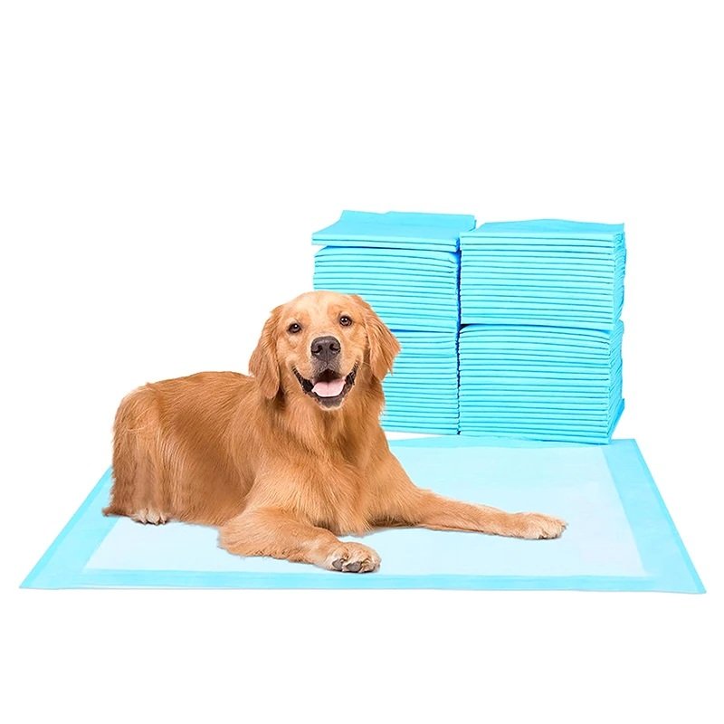 Pañales de Entrenamiento Mascotas Almohadillas absorbentes X20 Und